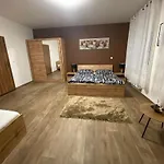 černý Tulipán - 3 Plzeň