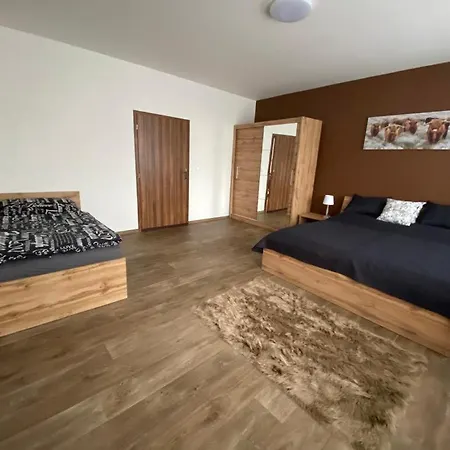 Cerny Tulipan - 3 * Pilzno