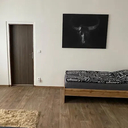 Apartmán černý Tulipán - 3 Plzeň