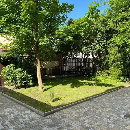 černý Tulipán - 3 Plzeň