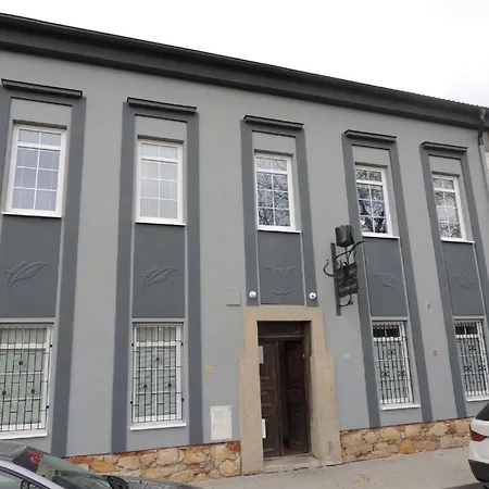 Apartmán černý Tulipán - 3 Plzeň