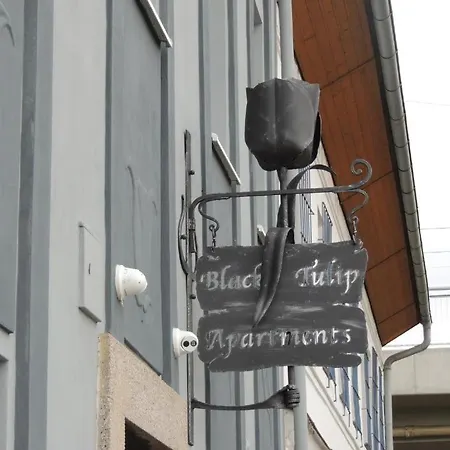 Appartement Cerny Tulipan - 3