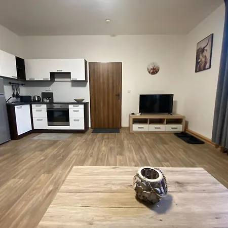 Apartmán černý Tulipán - 3