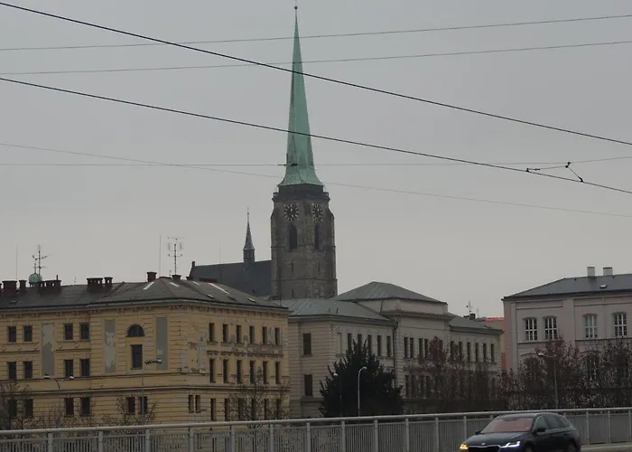 Apartmán černý Tulipán - 3 *