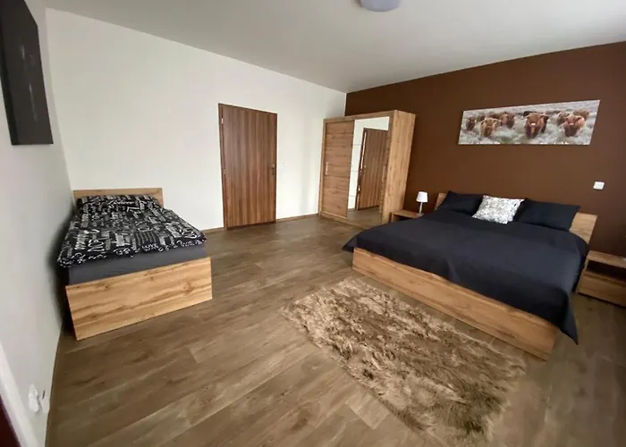 Cerny Tulipan - 3 * Pilsen