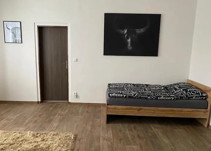 Apartment Cerny Tulipan - 3 Pilsen