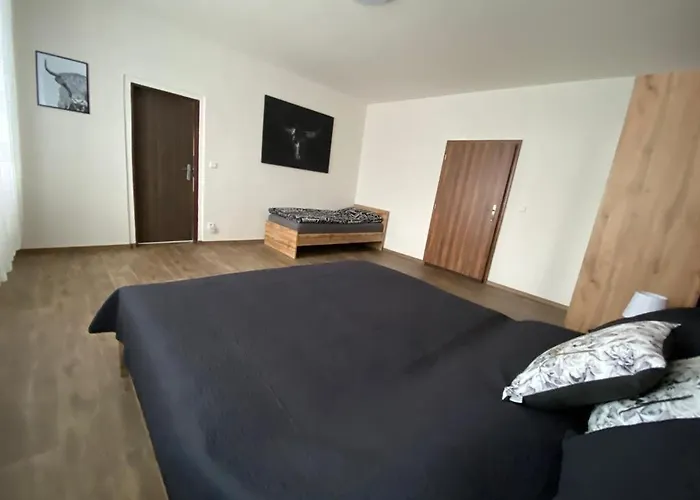 černý Tulipán - 3 *