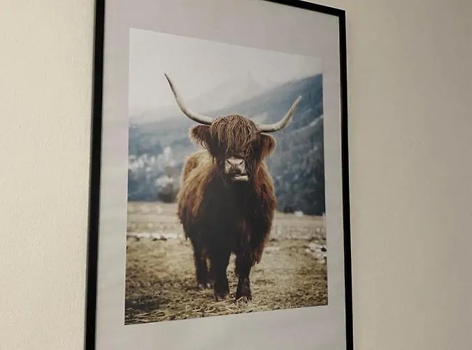 černý Tulipán - 3 *