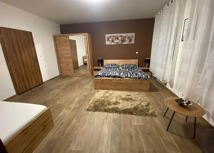 Cerny Tulipan - 3 Plzeň