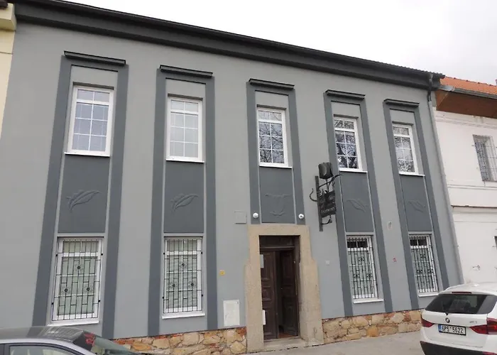 Apartmán černý Tulipán - 3 Plzeň