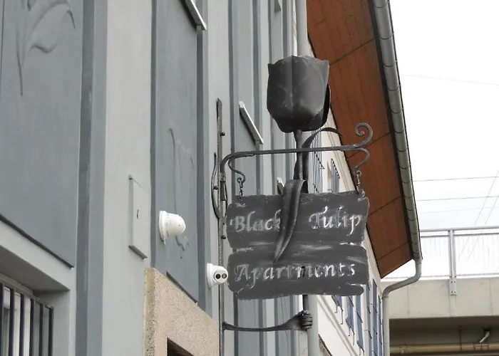 Apartment Cerny Tulipan - 3