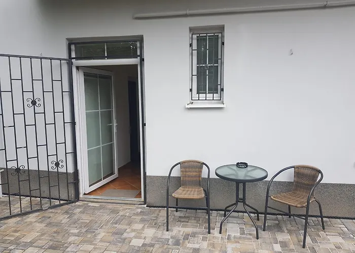 Cerny Tulipan - 3 * Pilsen