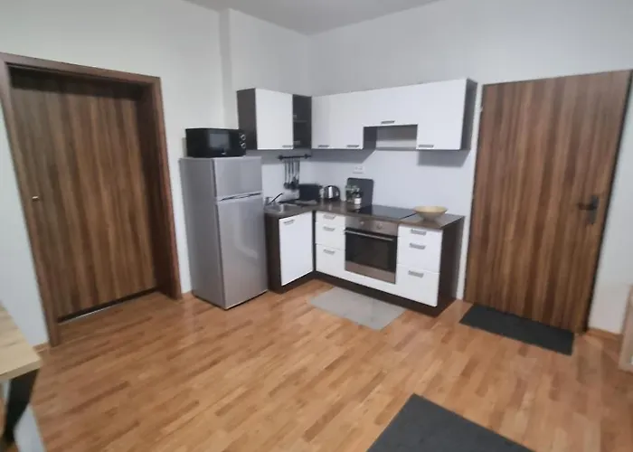 Apartmán černý Tulipán - 3 *