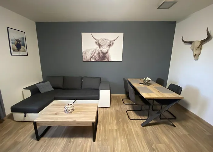 černý Tulipán - 3 * Plzeň