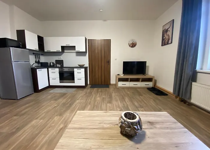 Apartmán černý Tulipán - 3