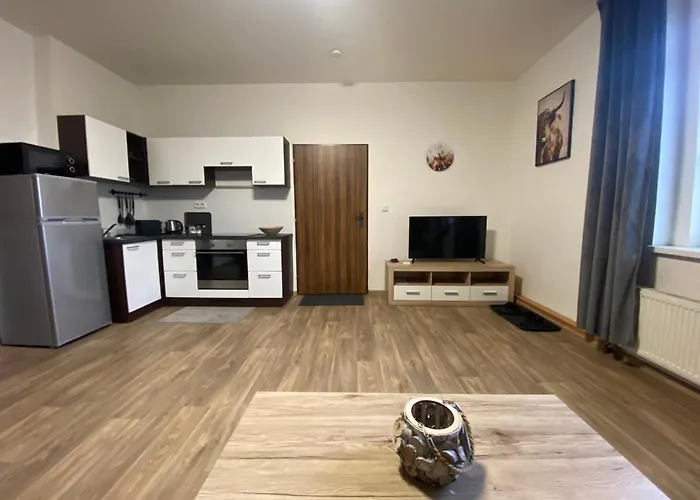 černý Tulipán - 3 * Plzeň