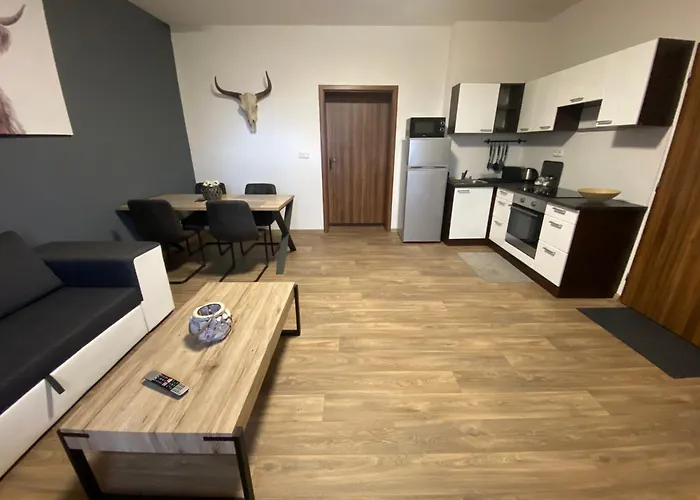 Cerny Tulipan - 3 Apartment Pilsen