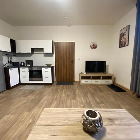 Cerny Tulipan - 3 * プルゼニ