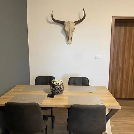 Cerny Tulipan - 3 プルゼニ