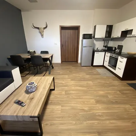 Cerny Tulipan - 3 アパート プルゼニ