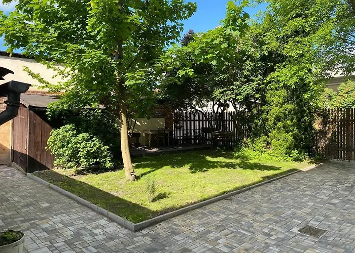 Cerny Tulipan - 3 プルゼニ